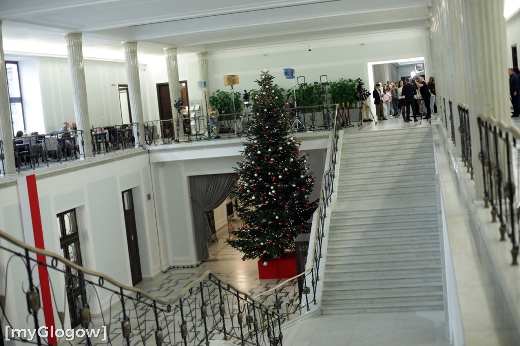 Młodzież z powiatu głogowskiego w Sejmie RP