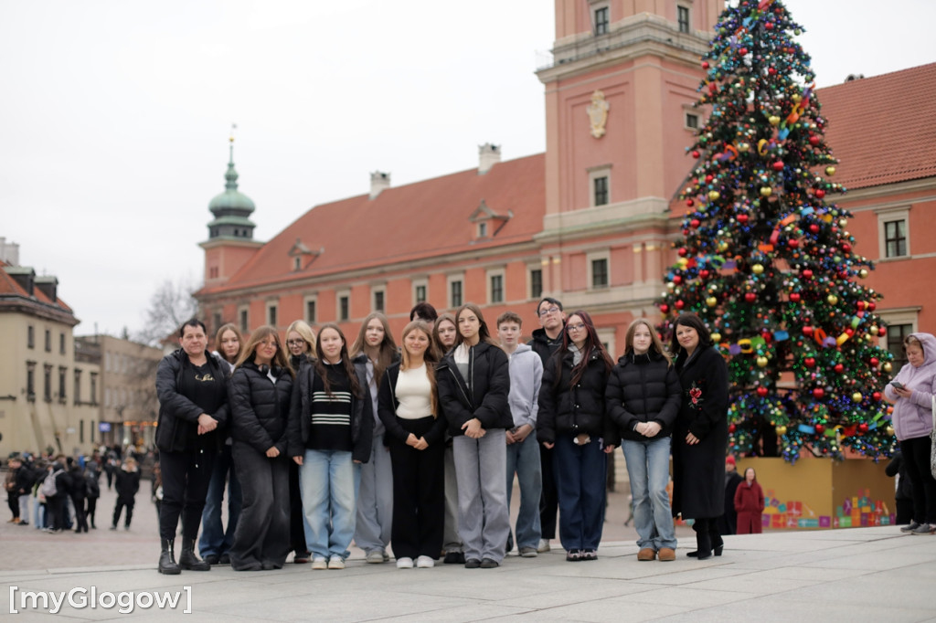 Młodzież z powiatu głogowskiego w Sejmie RP