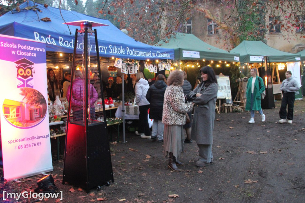 Jarmark Bożonarodzeniowy w Sławie
