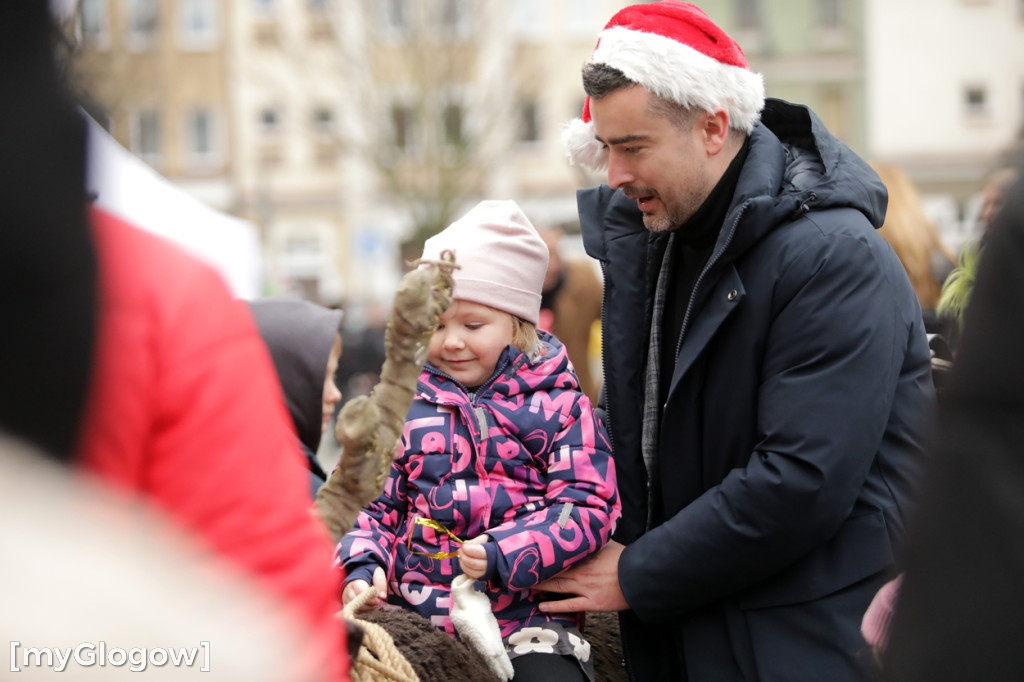 Dzień ze Świętym Mikołajem w Głogowie