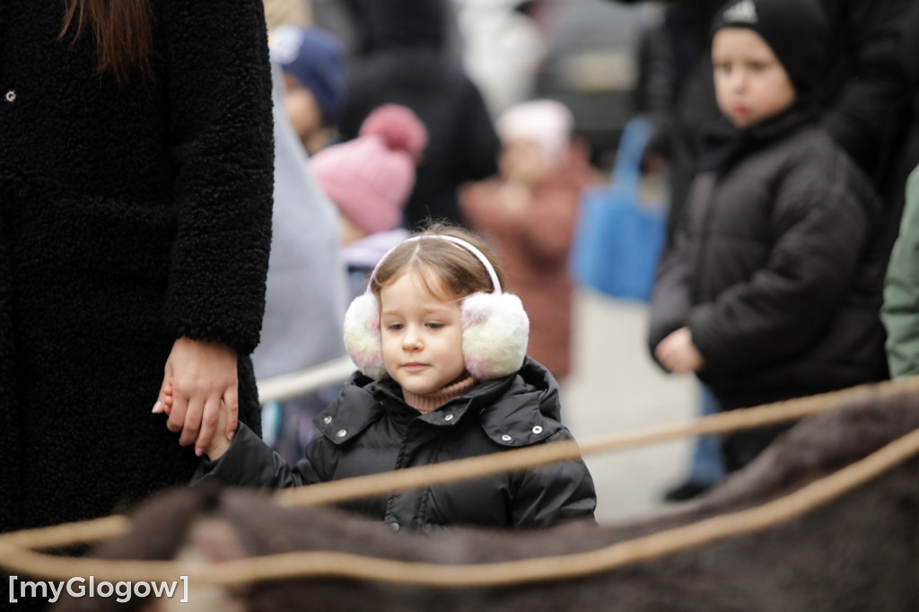 Dzień ze Świętym Mikołajem w Głogowie