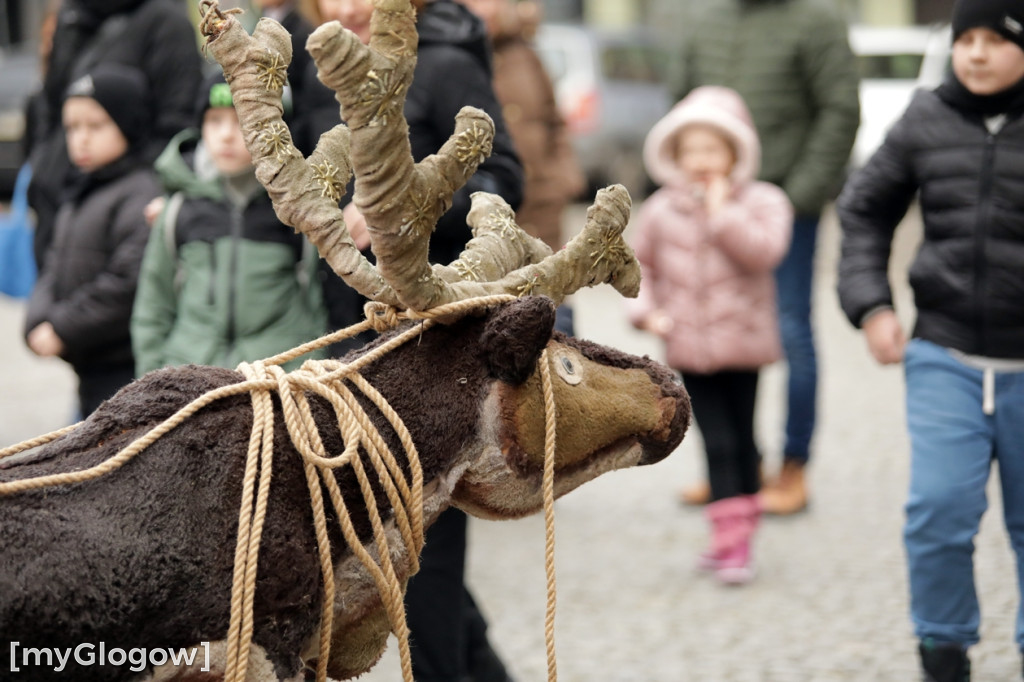 Dzień ze Świętym Mikołajem w Głogowie