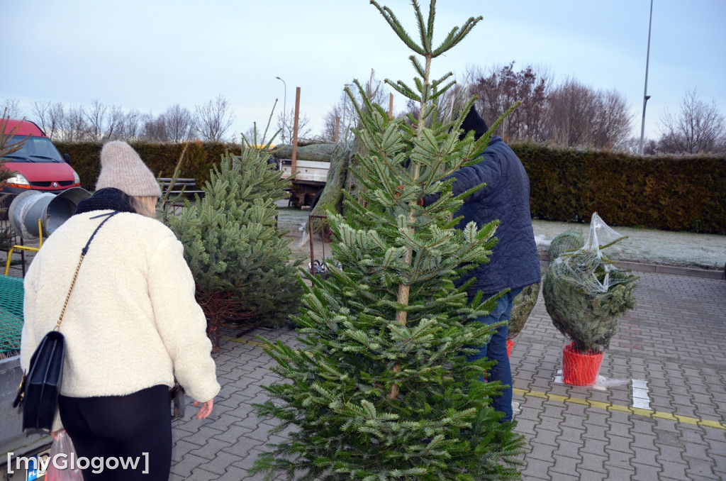Świąteczne zakupy na targu w Głogowie