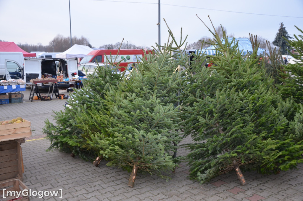 Świąteczne zakupy na targu w Głogowie