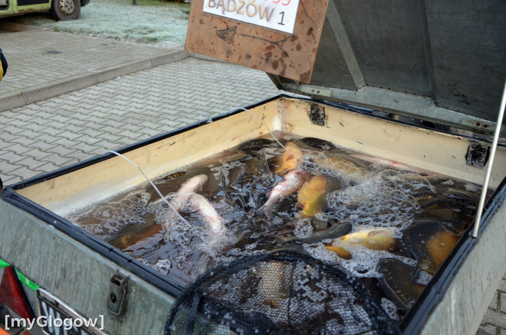 Świąteczne zakupy na targu w Głogowie