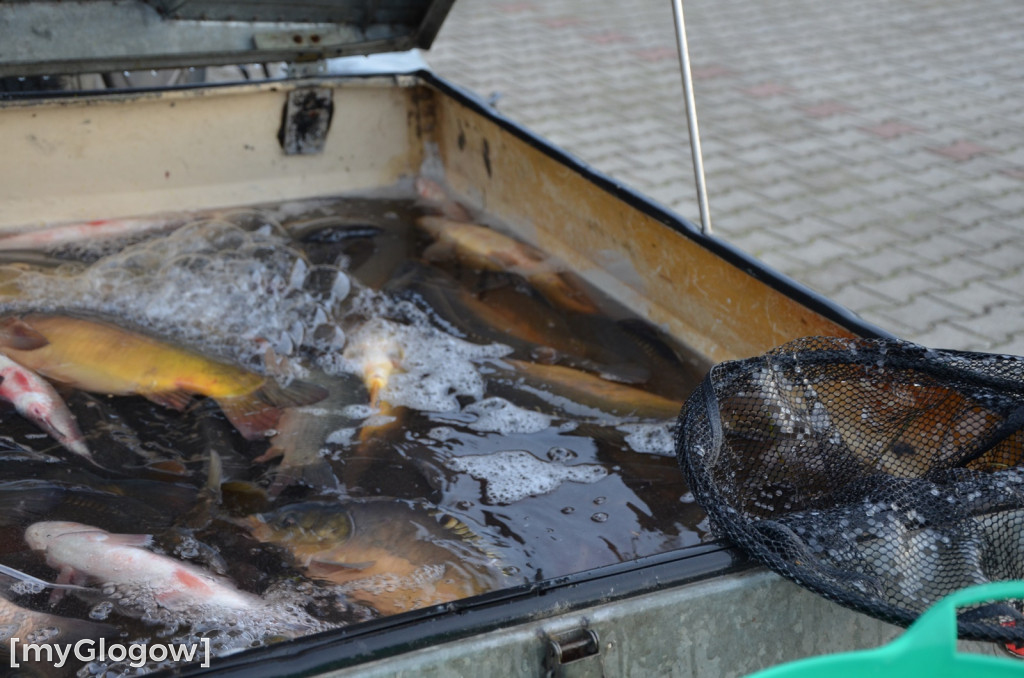 Świąteczne zakupy na targu w Głogowie
