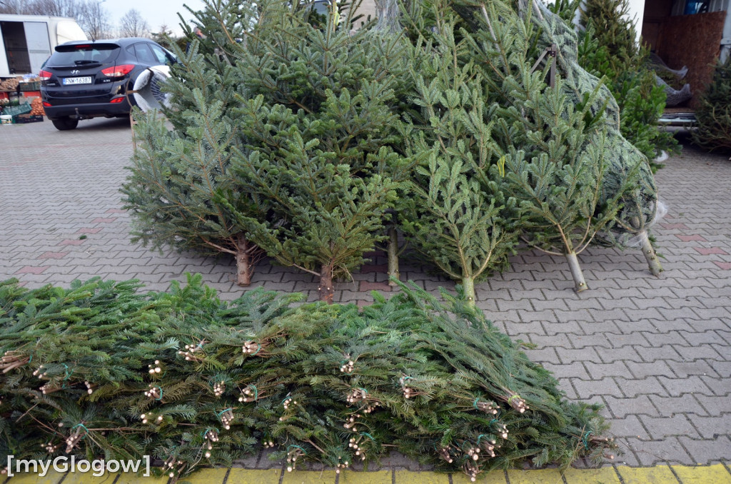 Świąteczne zakupy na targu w Głogowie