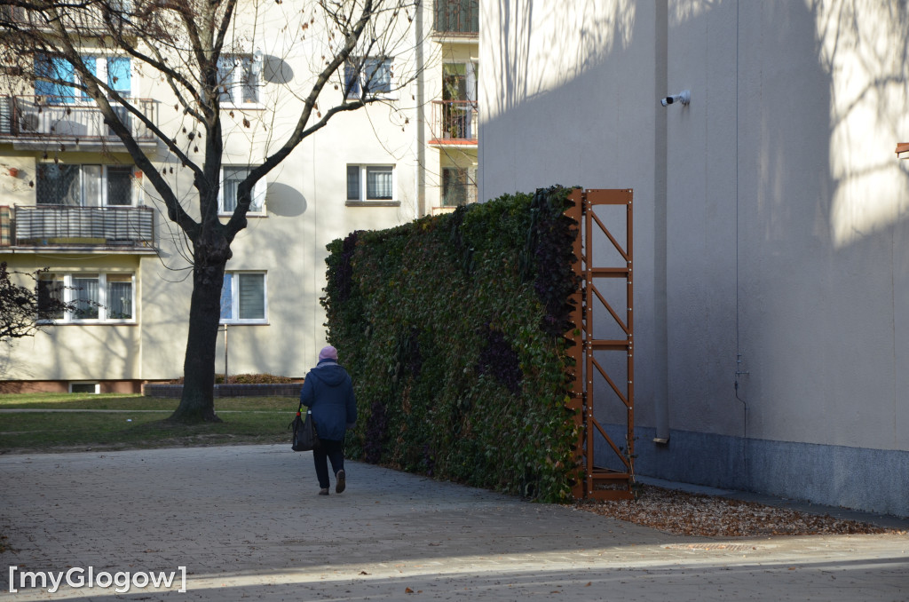 Dzień otwarty Jubilata w Głogowie