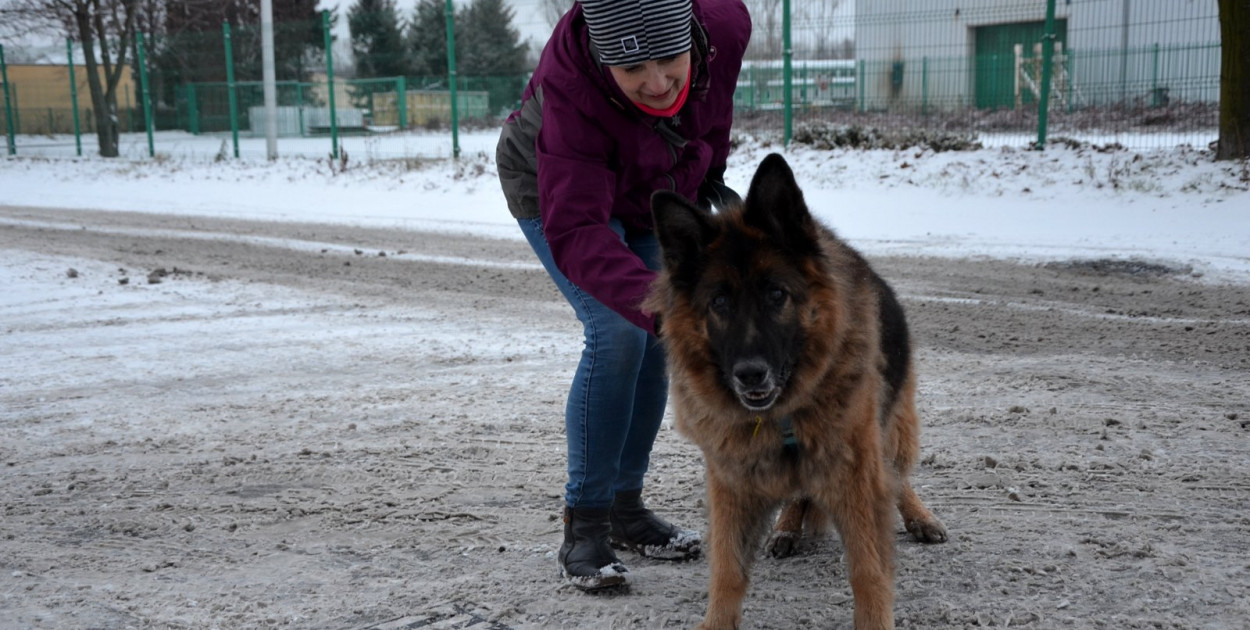 Sylwester w azylu Amicusa w Głogowie