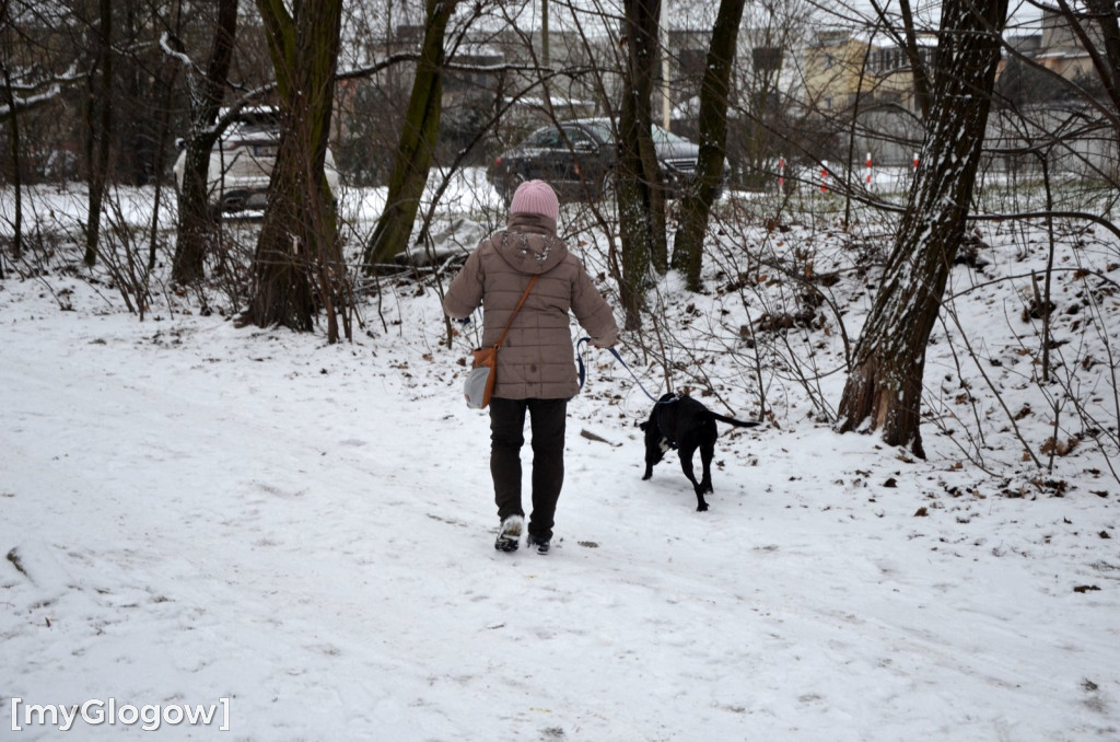 Sylwester w azylu Amicusa w Głogowie