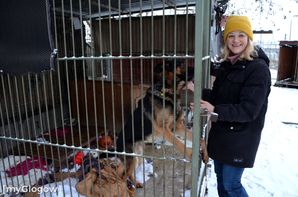 Sylwester w azylu Amicusa w Głogowie