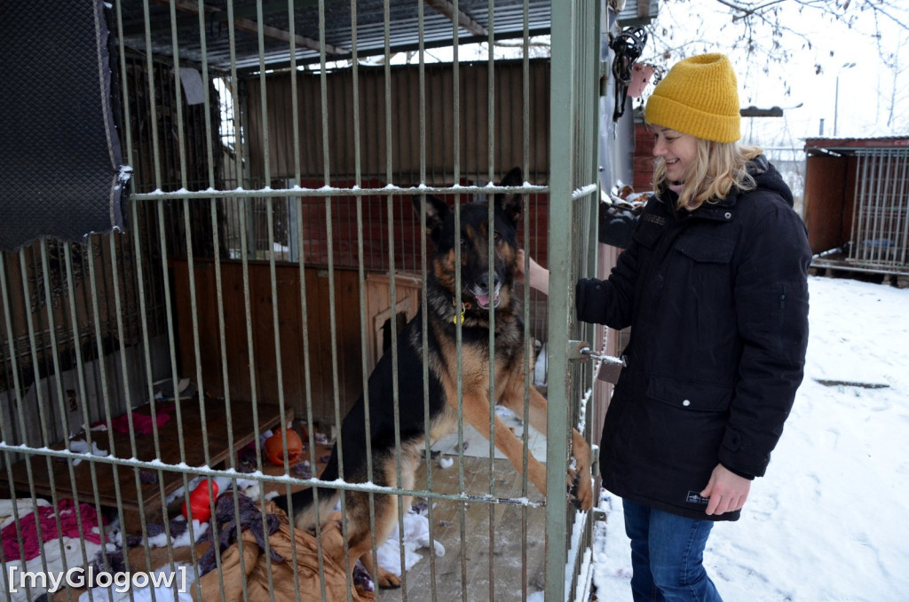 Sylwester w azylu Amicusa w Głogowie