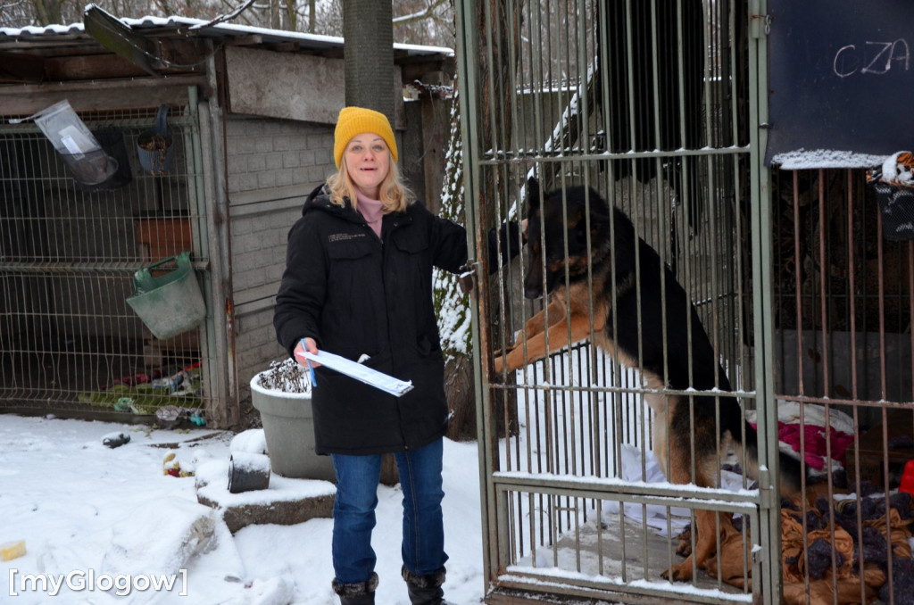 Sylwester w azylu Amicusa w Głogowie