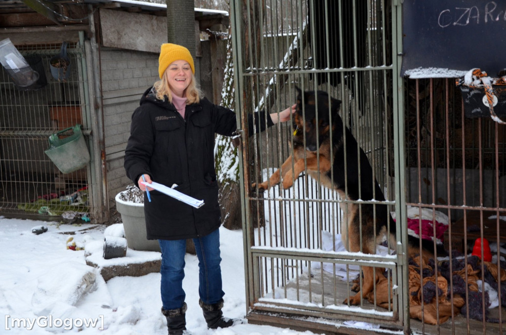 Sylwester w azylu Amicusa w Głogowie