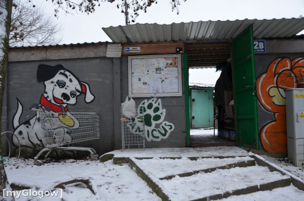 Sylwester w azylu Amicusa w Głogowie