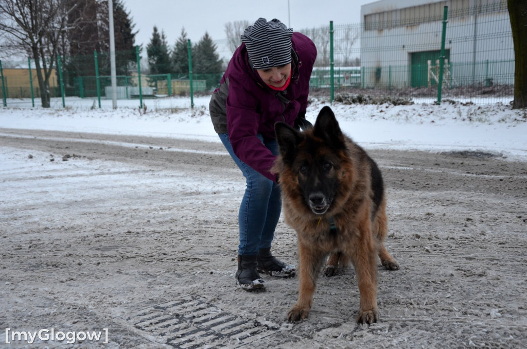 Sylwester w azylu Amicusa w Głogowie