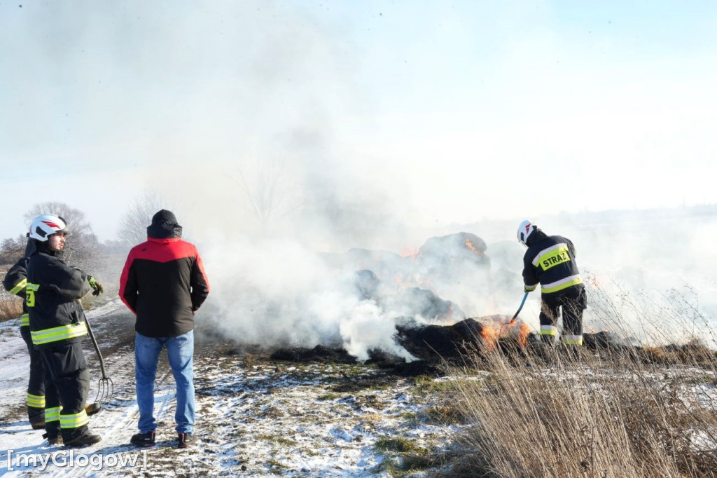 Pożar w Przedmościu