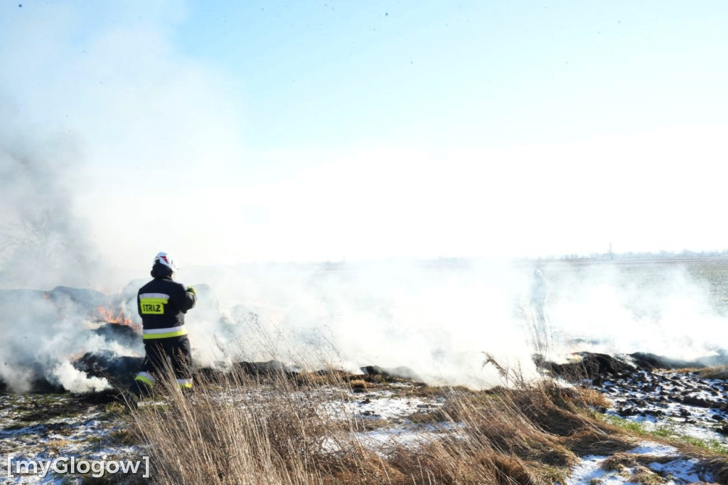 Pożar w Przedmościu
