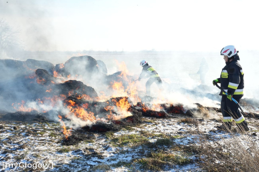 Pożar w Przedmościu