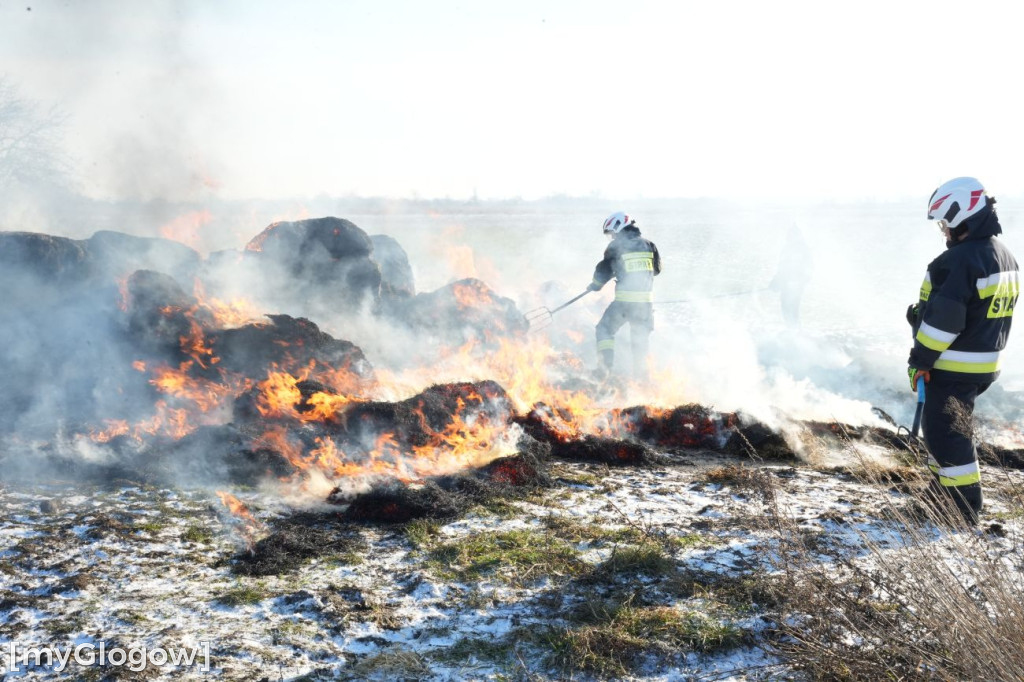 Pożar w Przedmościu