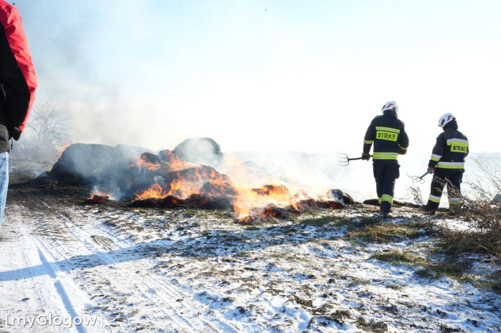 Pożar w Przedmościu