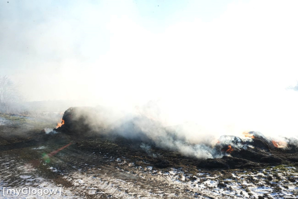 Pożar w Przedmościu
