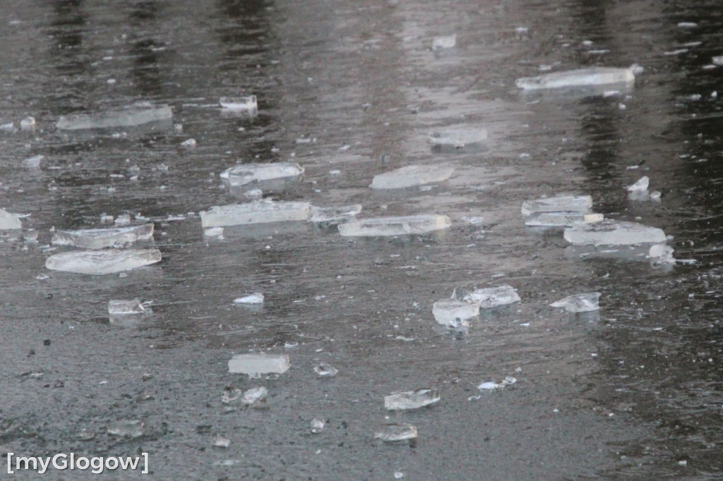 Kolejne morsowanie w jeziorze