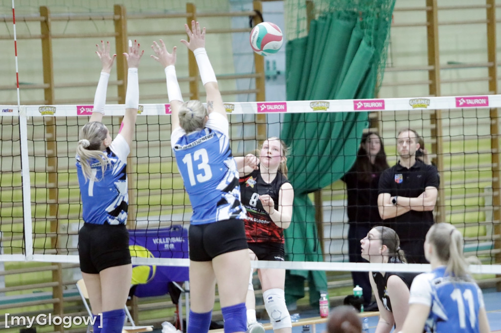 Siatkarski hit na parkiecie