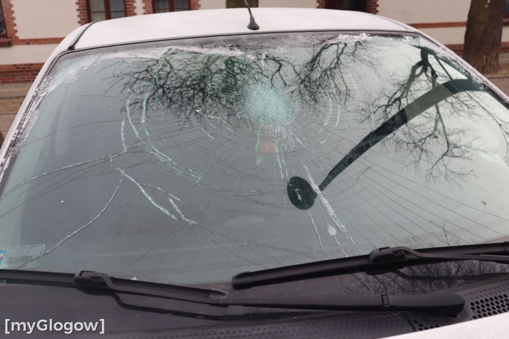 Horror na Folwarcznej