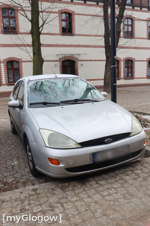 Horror na Folwarcznej