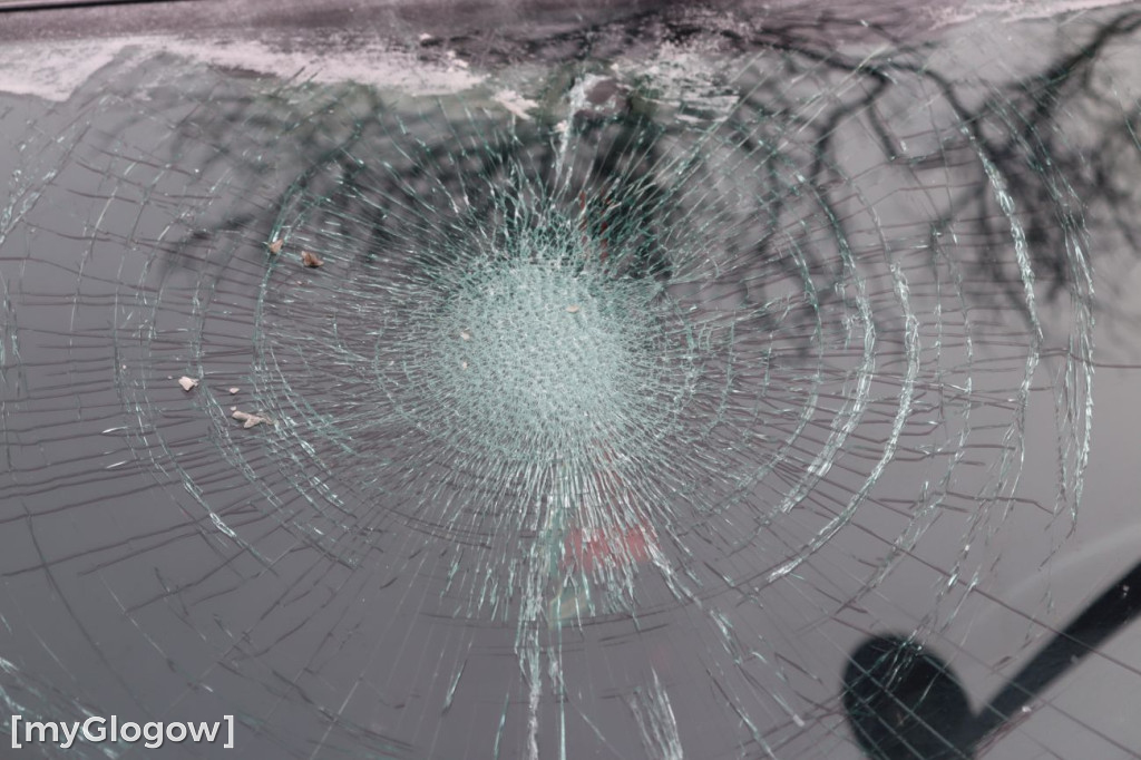 Horror na Folwarcznej