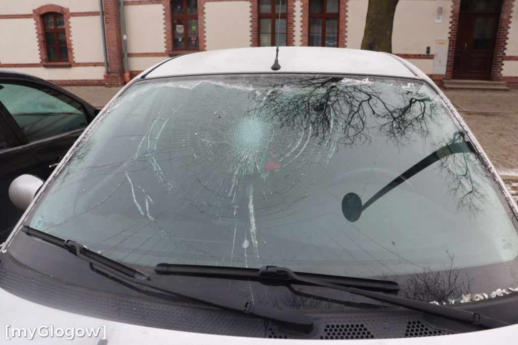 Horror na Folwarcznej