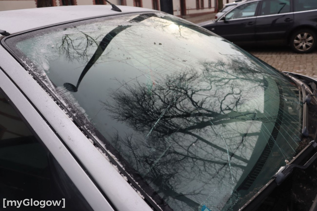 Horror na Folwarcznej