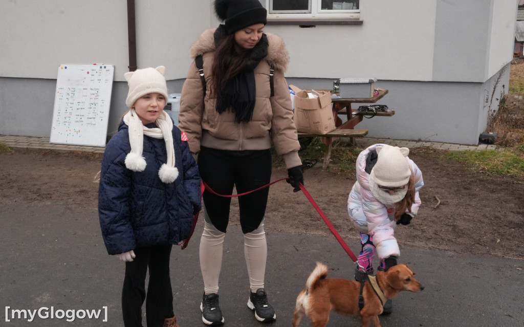 Wielka akcja w głogowskim schronisku