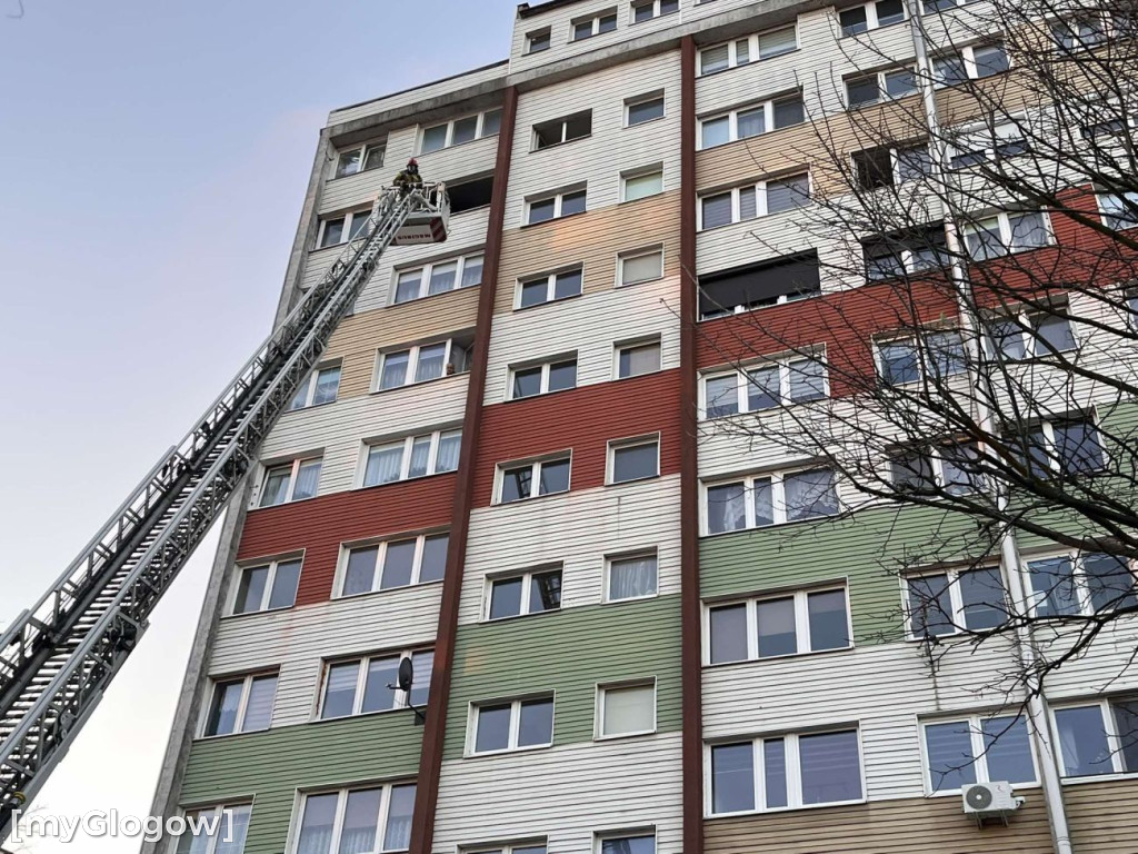 Akcja strażaków na Oriona w Głogowie