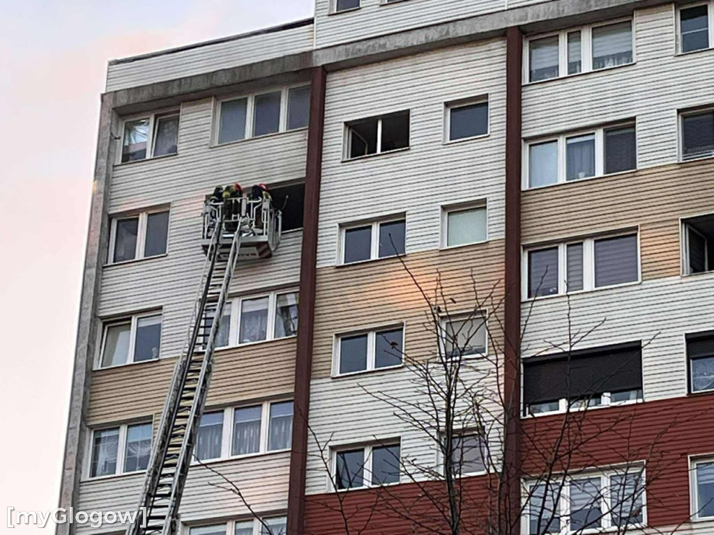 Akcja strażaków na Oriona w Głogowie