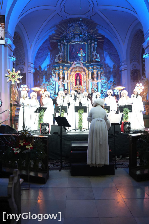 Grodowieckie ostatki