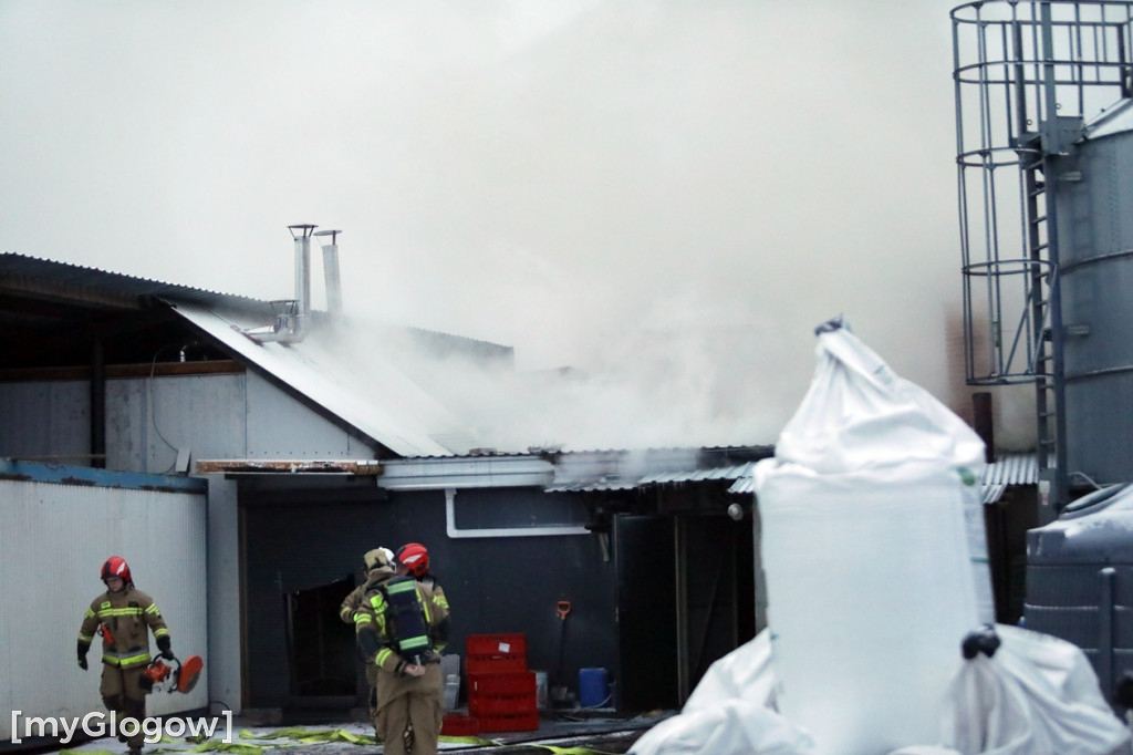 Groźny pożar w Sobczycach pod Głogowem