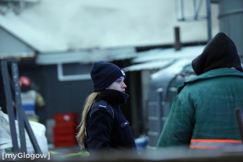 Groźny pożar w Sobczycach pod Głogowem