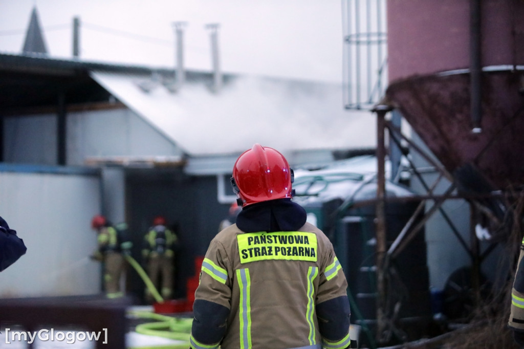 Groźny pożar w Sobczycach pod Głogowem