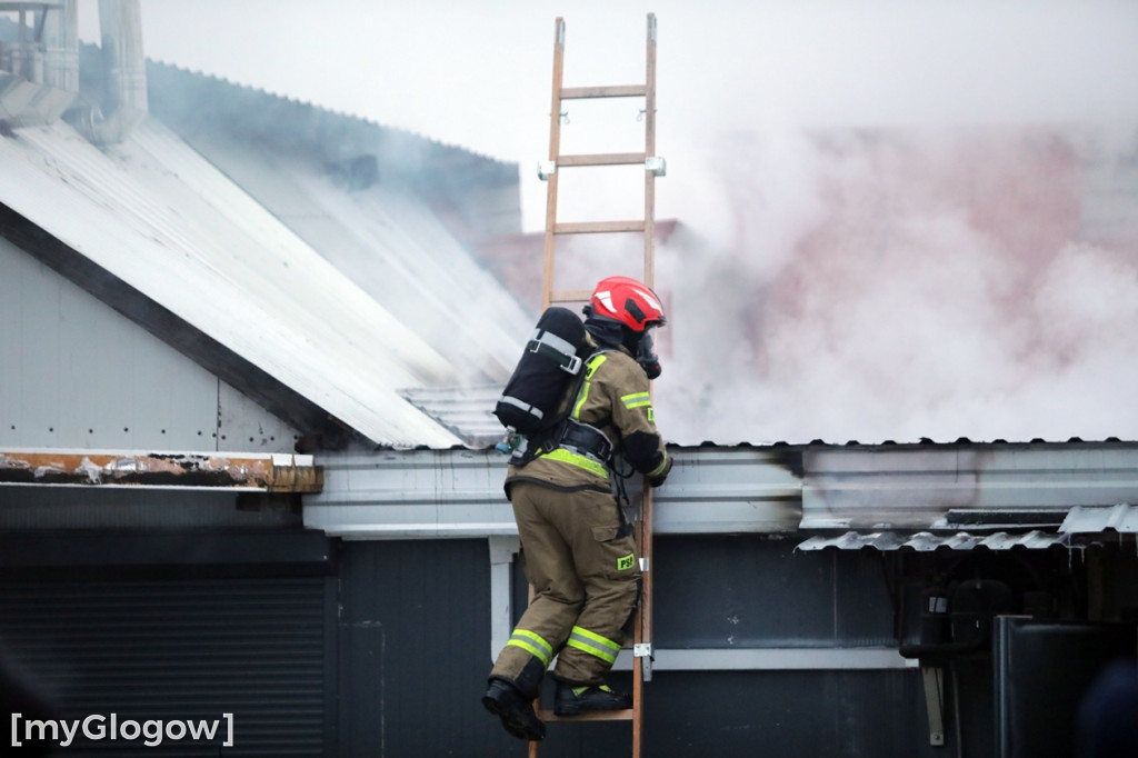 Groźny pożar w Sobczycach pod Głogowem