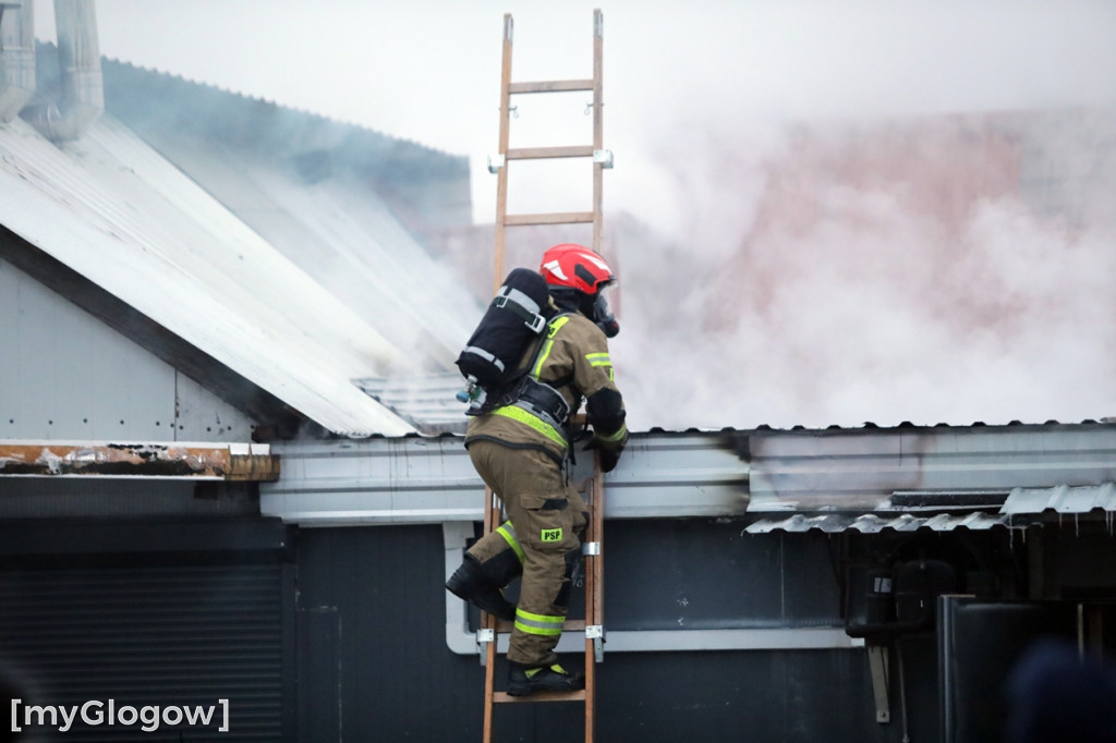 Groźny pożar w Sobczycach pod Głogowem