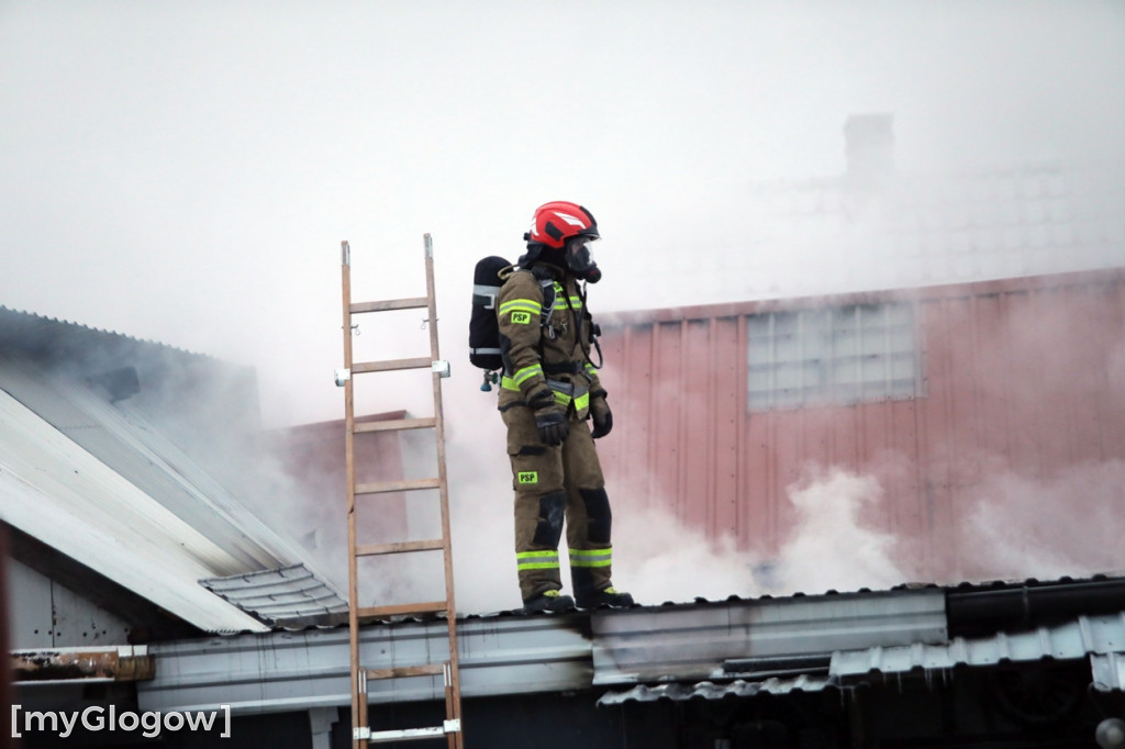 Groźny pożar w Sobczycach pod Głogowem