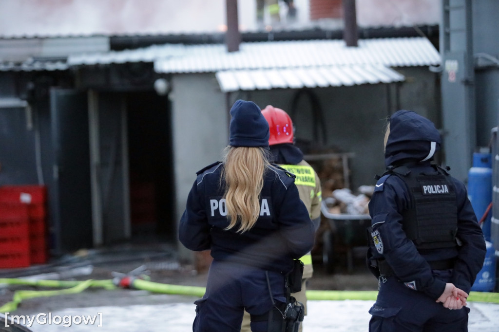 Groźny pożar w Sobczycach pod Głogowem
