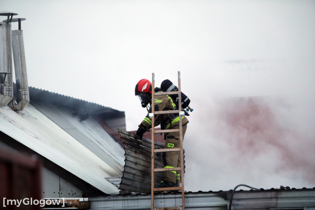 Groźny pożar w Sobczycach pod Głogowem