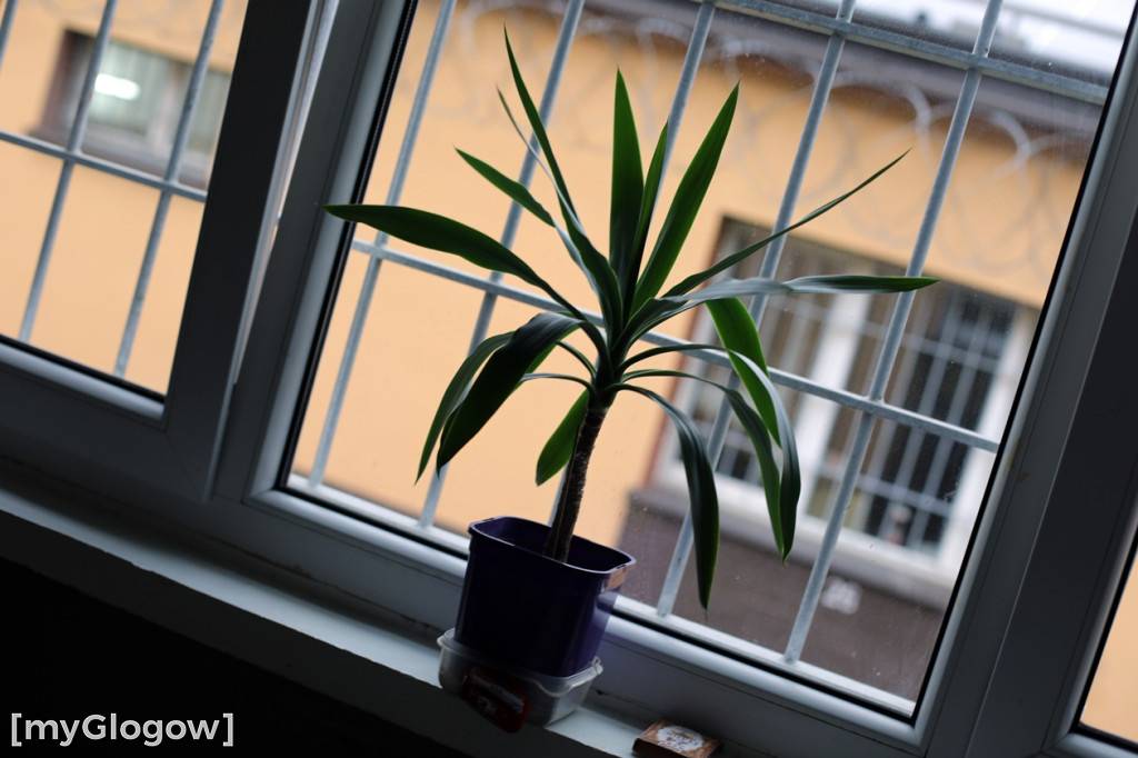 Tak żyje się w Zakładzie Karnym w Głogowie