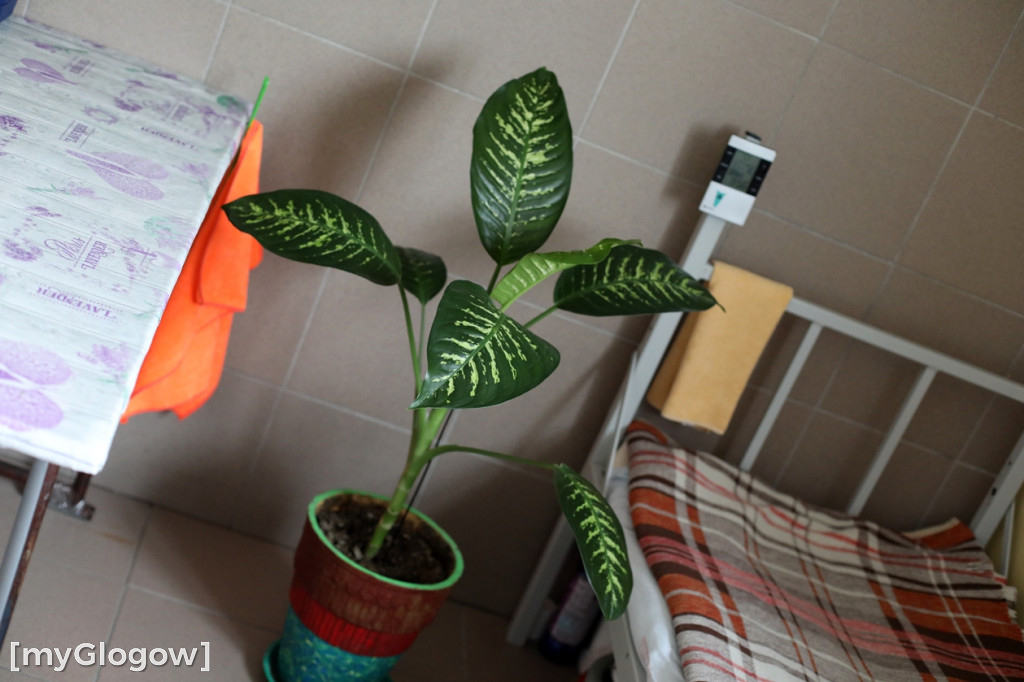 Tak żyje się w Zakładzie Karnym w Głogowie