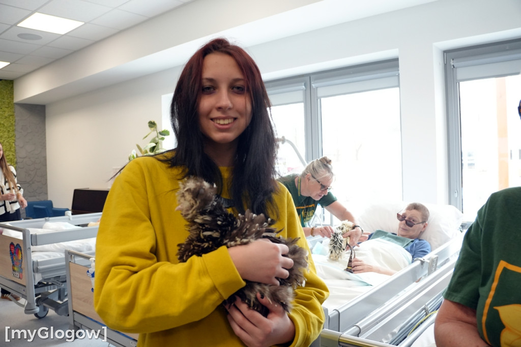 Terapia z kurami w hospicjum