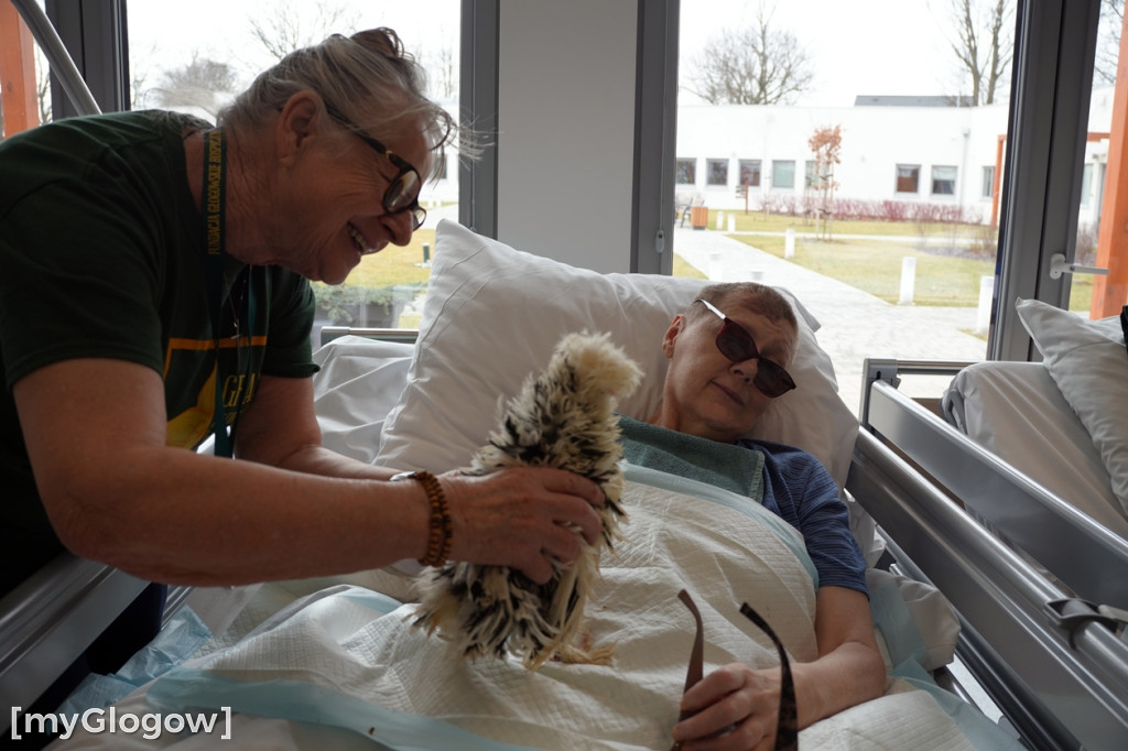 Terapia z kurami w hospicjum