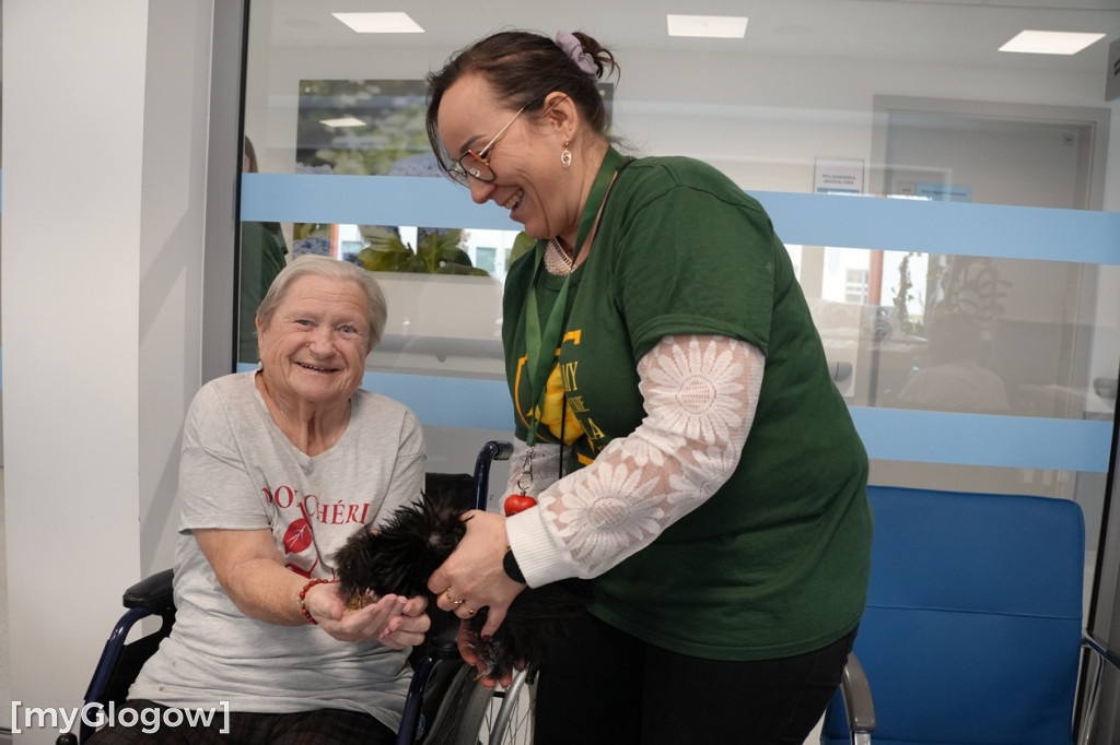 Terapia z kurami w hospicjum